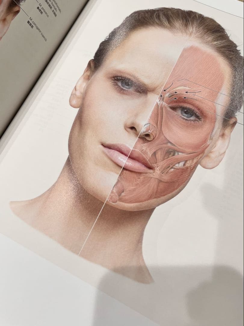 グラフィックスフェイス　解剖図譜