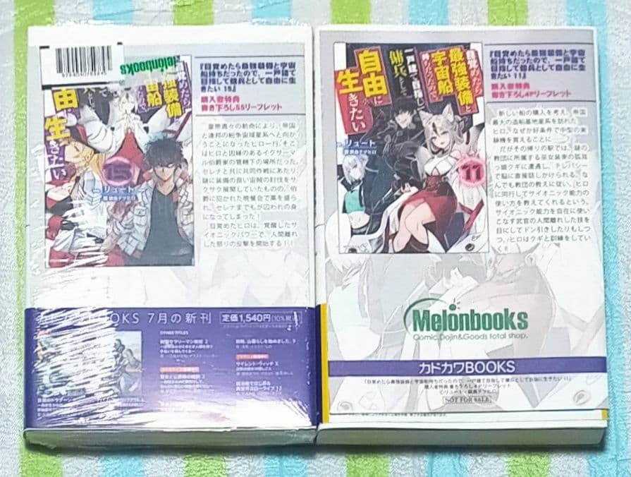 目覚めたら最強装備と宇宙船持ちだったので、一戸建て目指して傭兵として自由に生き…