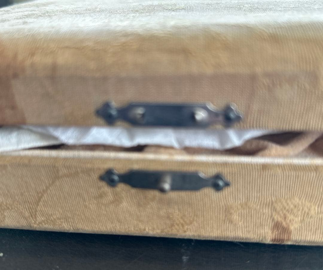 時代鼈甲皿とヒメフォーク５枚セット