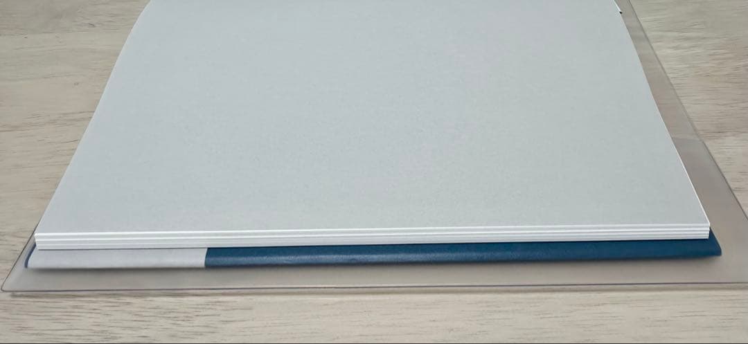 藤田嗣治☆夜と猫 エリザベスコーツワース新品 NIGHT AND THE CAT