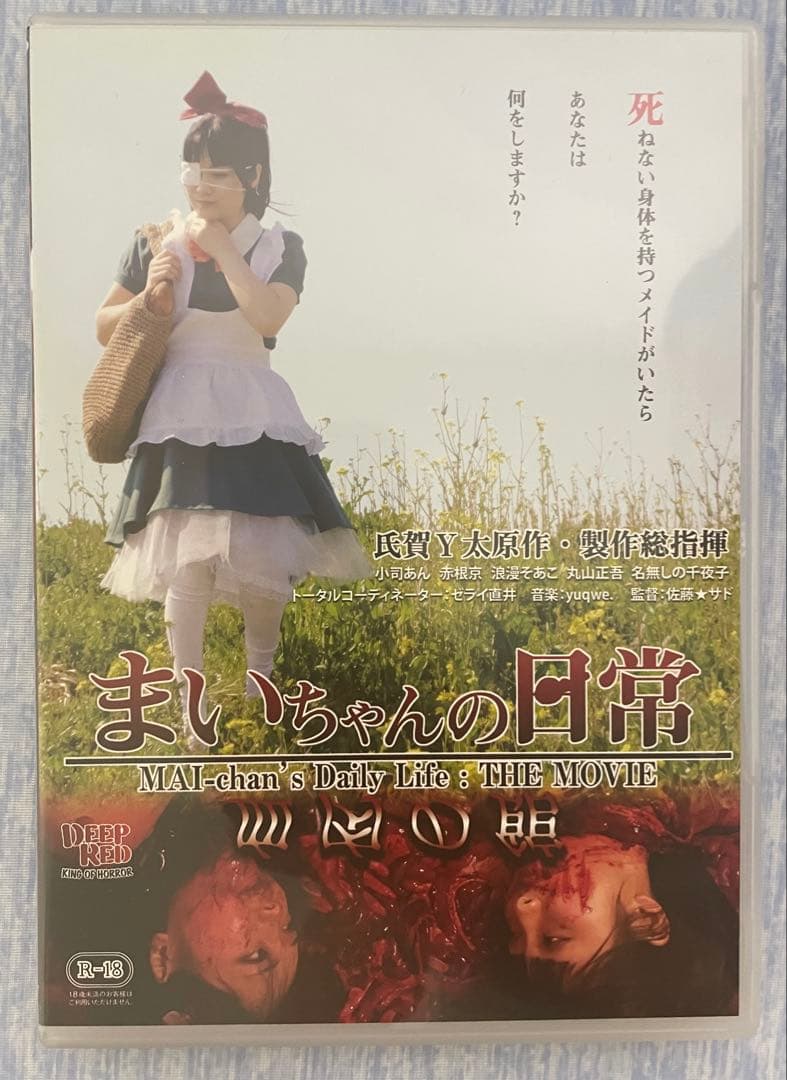 レアホラーDVD 「まいちゃんの日常 血肉の館」