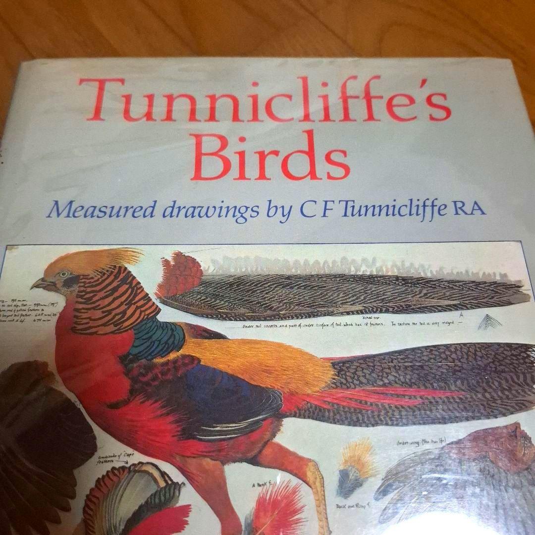 Tunnicliffe's Birds　鳥の測定図集　鳥図鑑　洋書