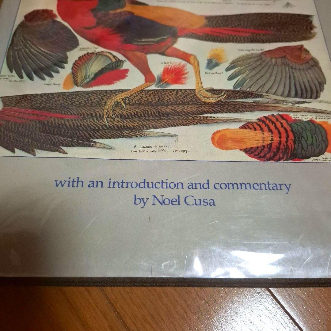 Tunnicliffe's Birds　鳥の測定図集　鳥図鑑　洋書