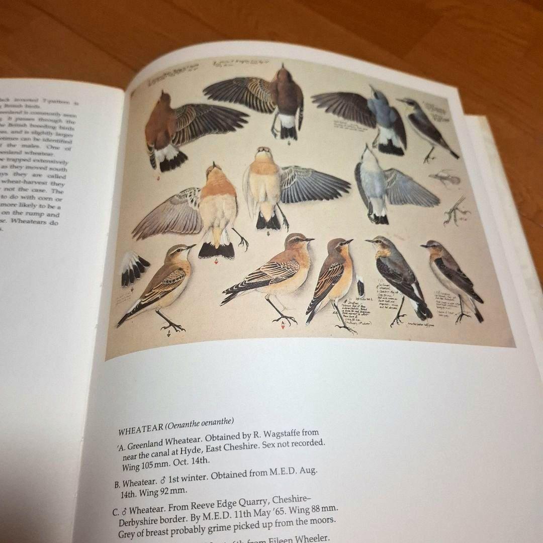 Tunnicliffe's Birds　鳥の測定図集　鳥図鑑　洋書