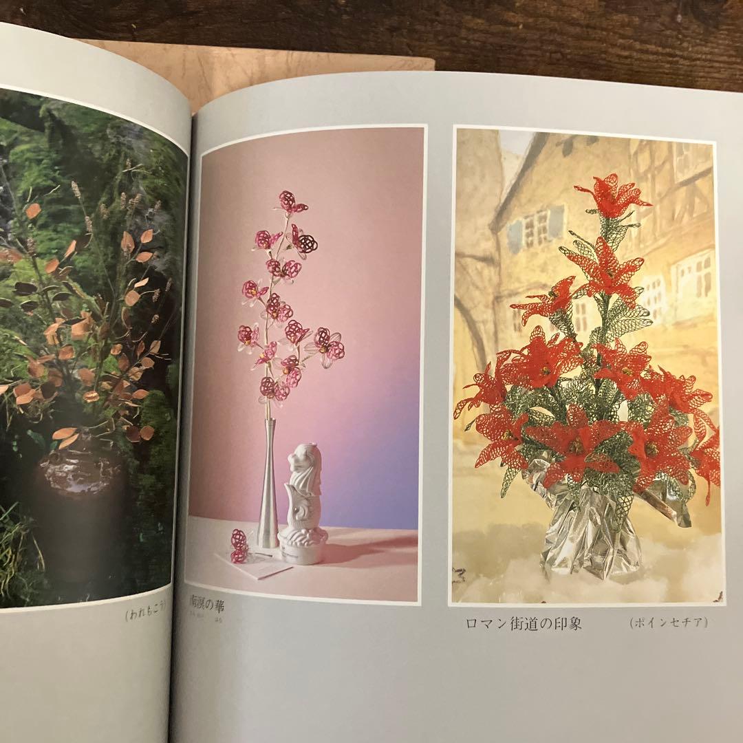 水ひき・アート 能政華著 写真集