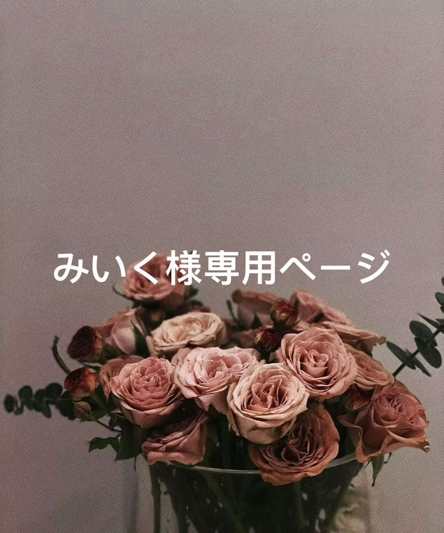 みいくページ