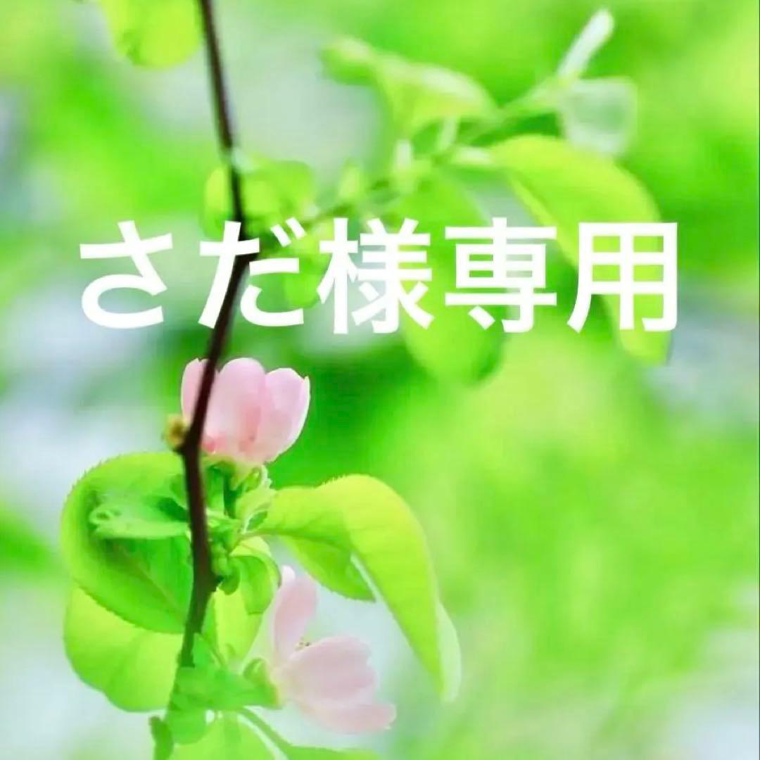 さだページです。38 サイズ、ブラック。