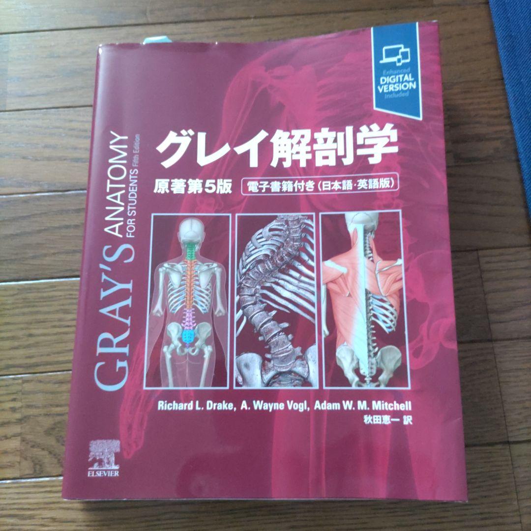 グレイ解剖学　ami☆　交渉中