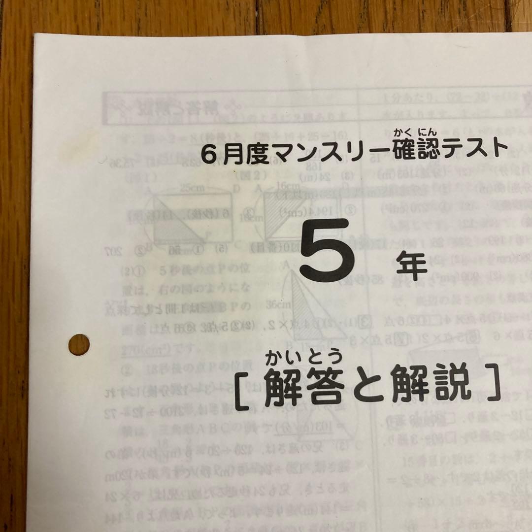 サピックス2019〜2020年度　5年生テストフルセット　15回分