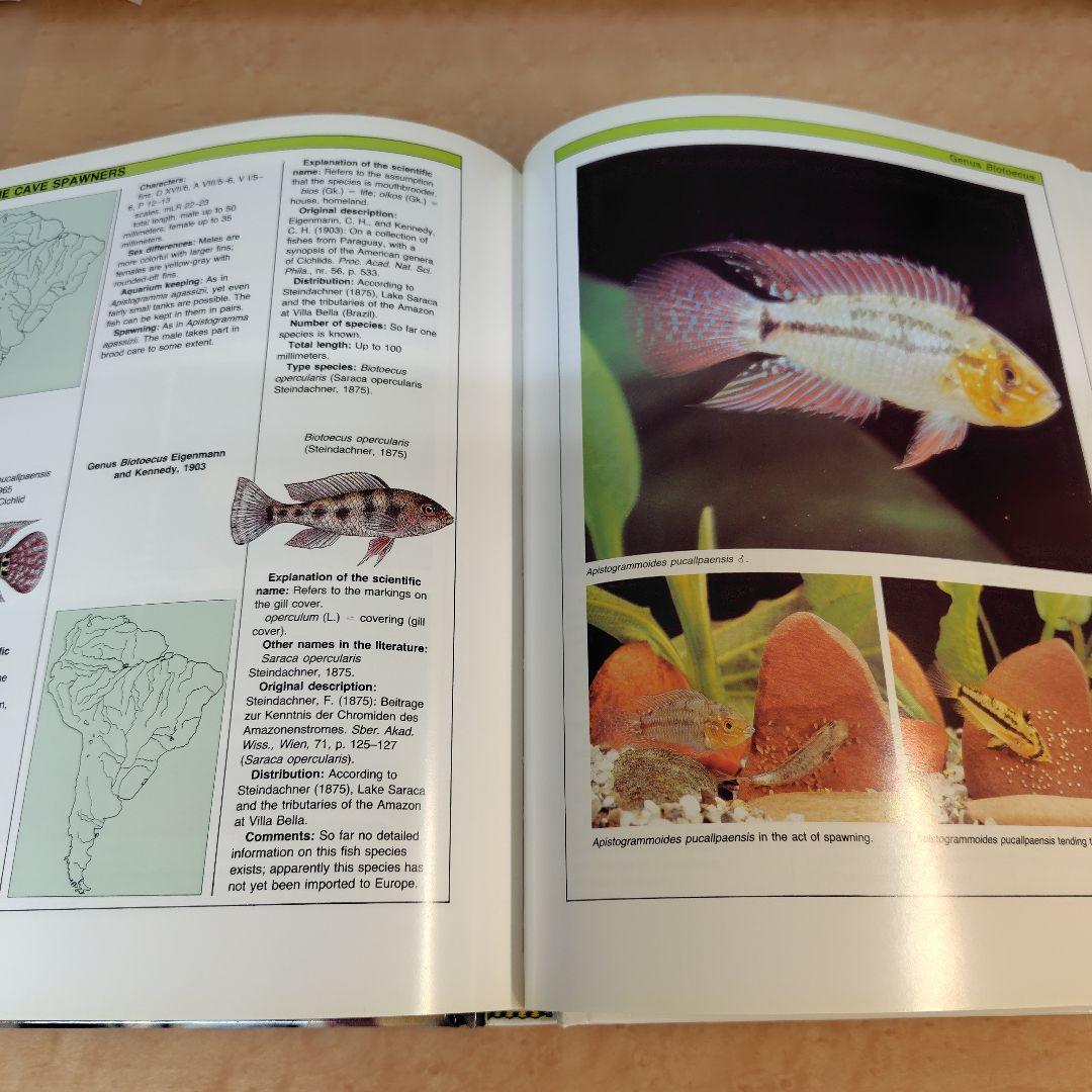 趣味・スポーツ・実用 COMPLETE BOOK OF DWARF CICHLIDS