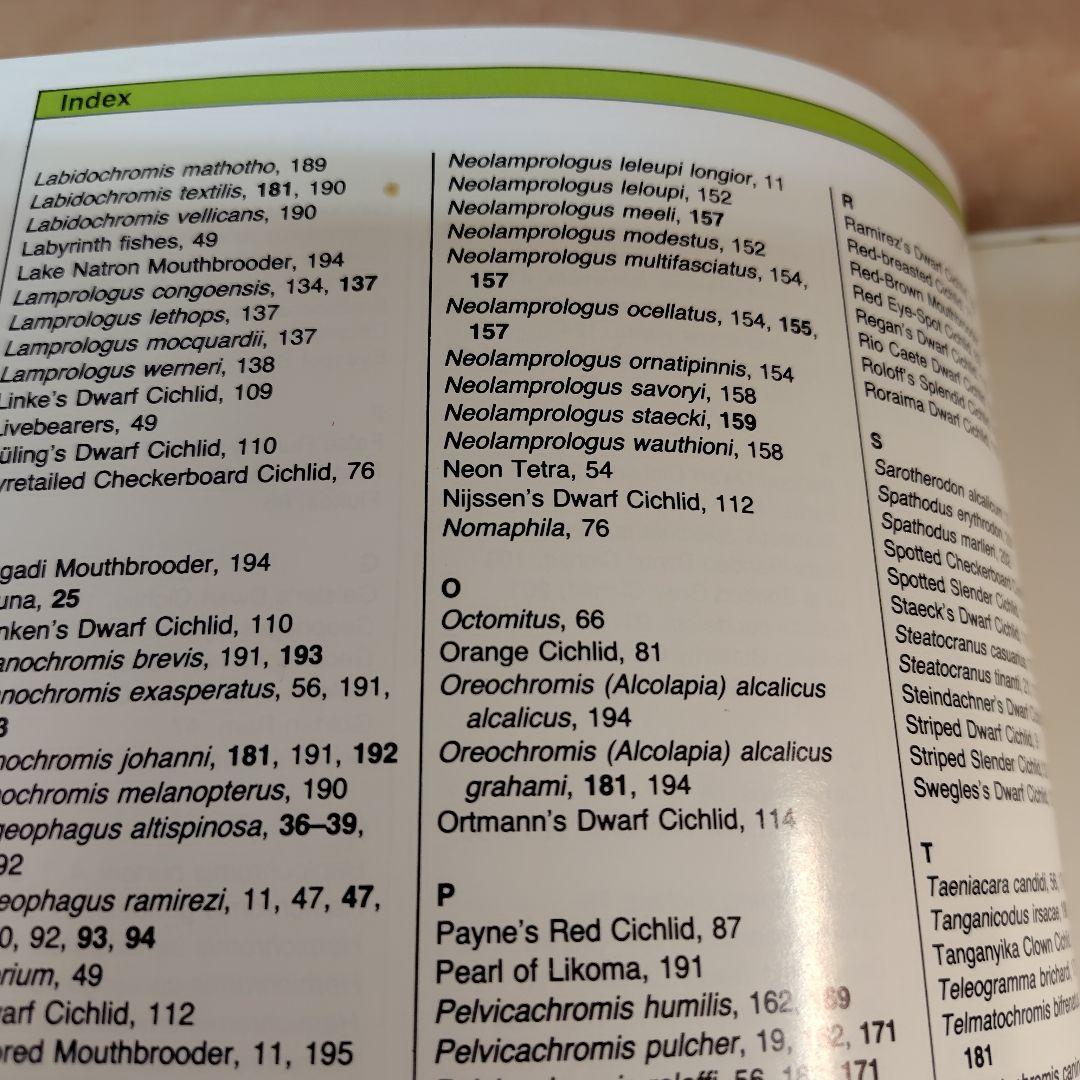 趣味・スポーツ・実用 COMPLETE BOOK OF DWARF CICHLIDS