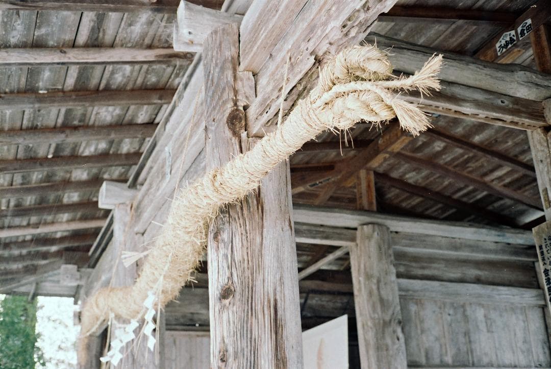 オリンパス35SP／Gズイコー42mmf1.7フード付【実写確認整備済】