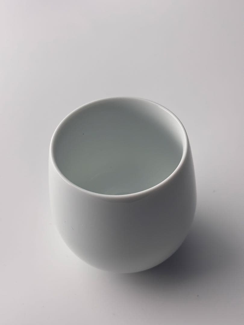 【在庫処分】オーストラリア Magnolia Mountain 有田焼