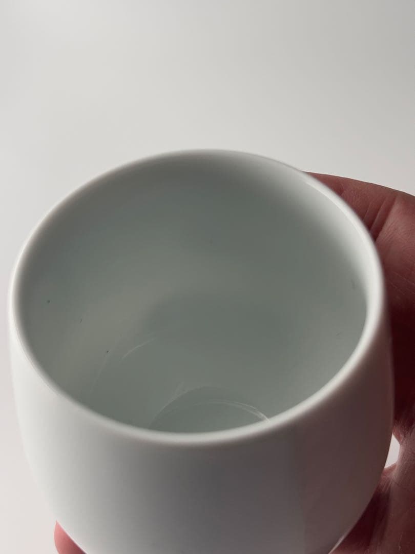 【在庫処分】オーストラリア Magnolia Mountain 有田焼