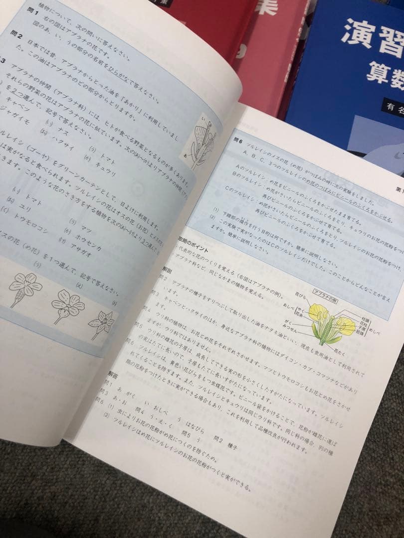 四谷大塚　6年　予習シリーズ有名校対策　国算理社　2024年版 中古