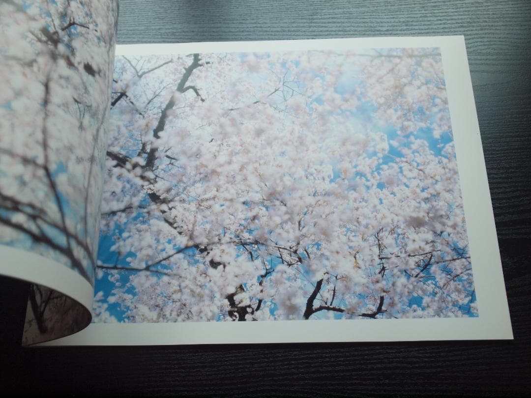 鈴木理策　桜　Yoshii Gallery　大判　サイン入り