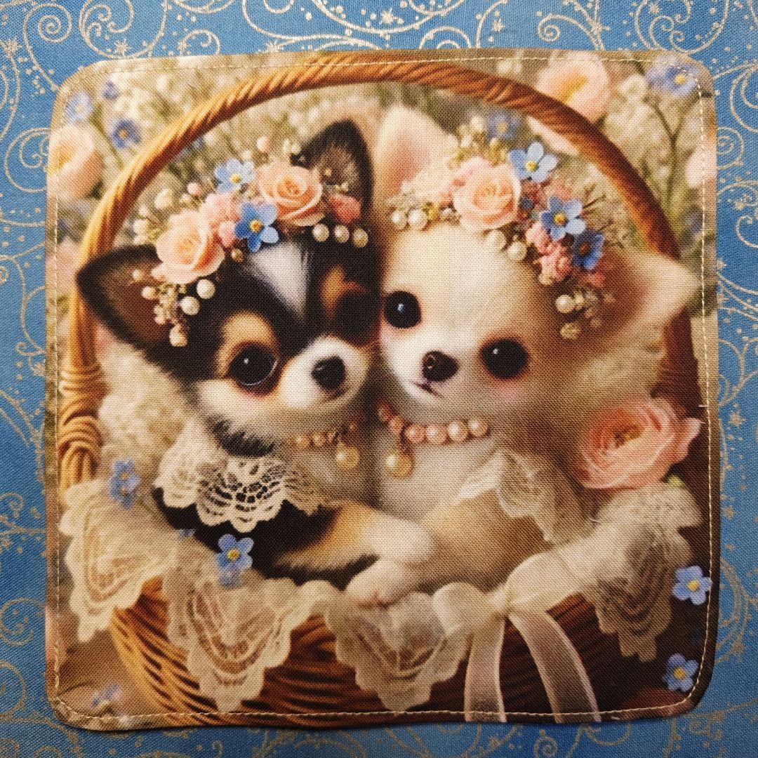 ご確認用　あしべ☆　ハンカチ　ねこちゃん　チワワ柄　21枚