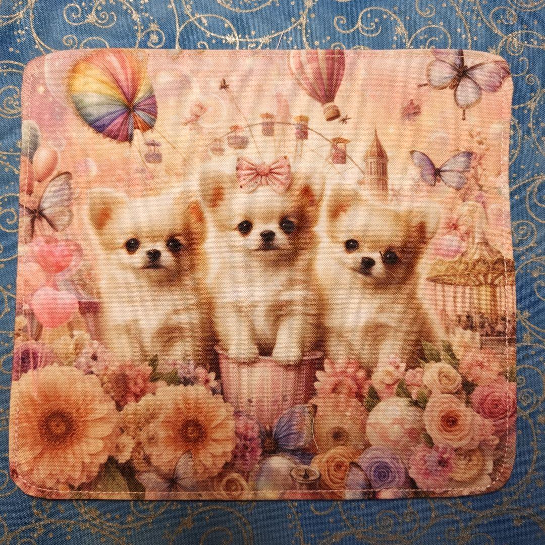 ご確認用　あしべ☆　ハンカチ　ねこちゃん　チワワ柄　21枚