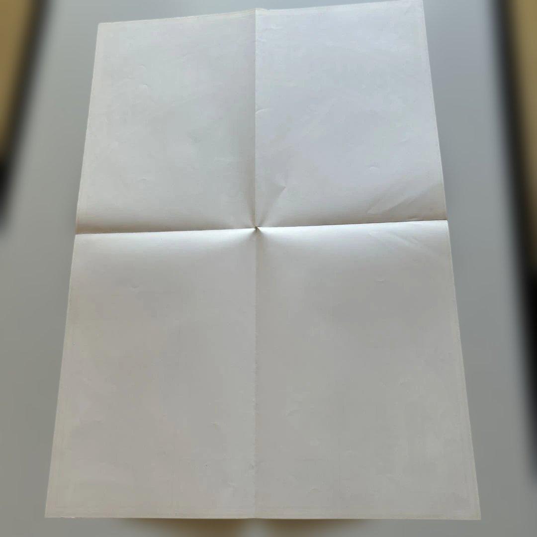 TADANORI YOKOO ポスター集とCOSMOS MOMOE