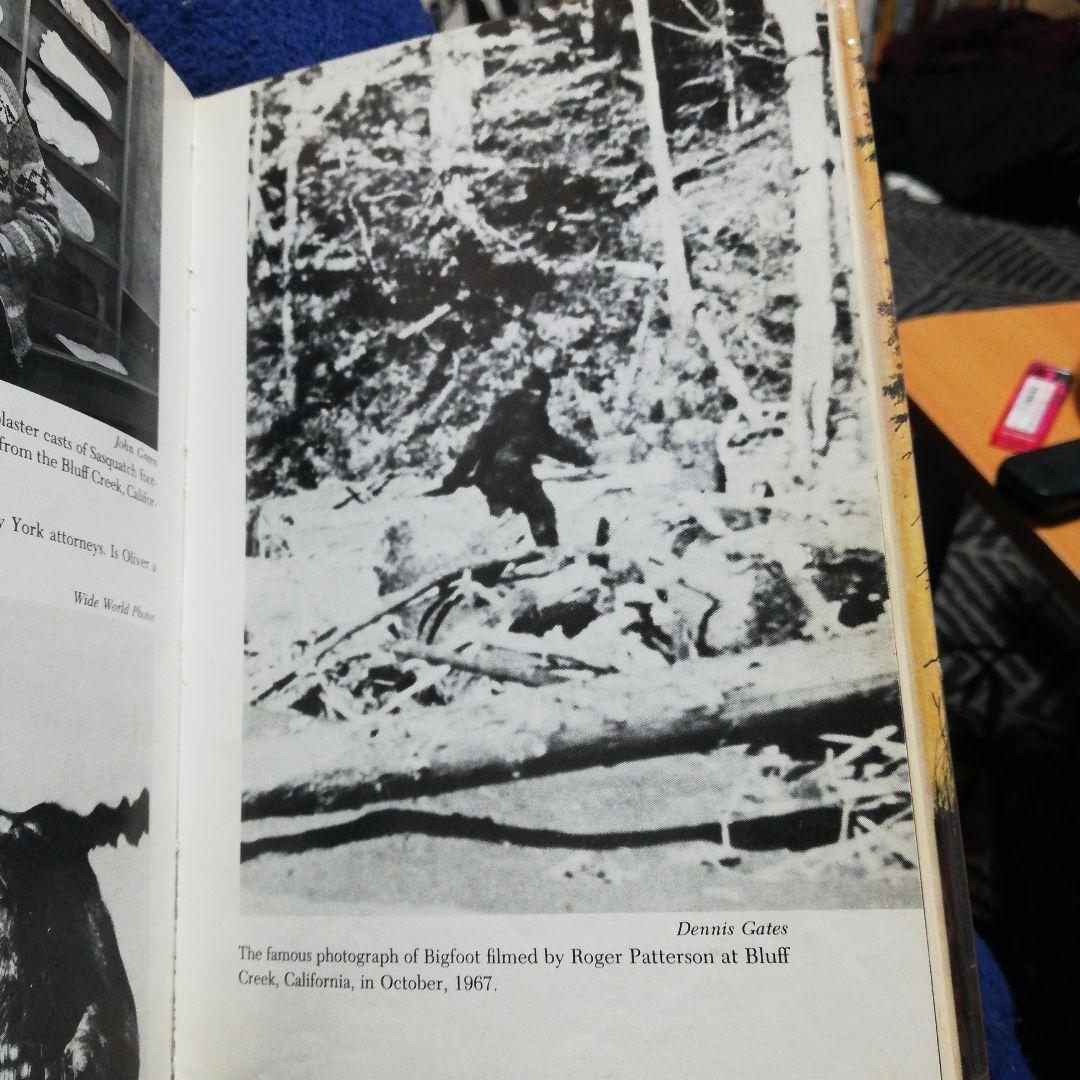 洋書 BIGFOOT ALL OVER THE COUNTRY by Place