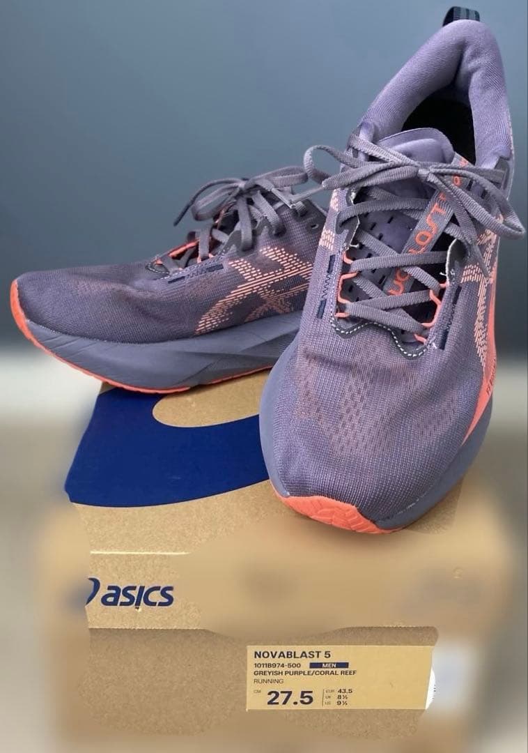 ASICS NOVABLAST 5 27.5cm グレイッシュパープル 美品