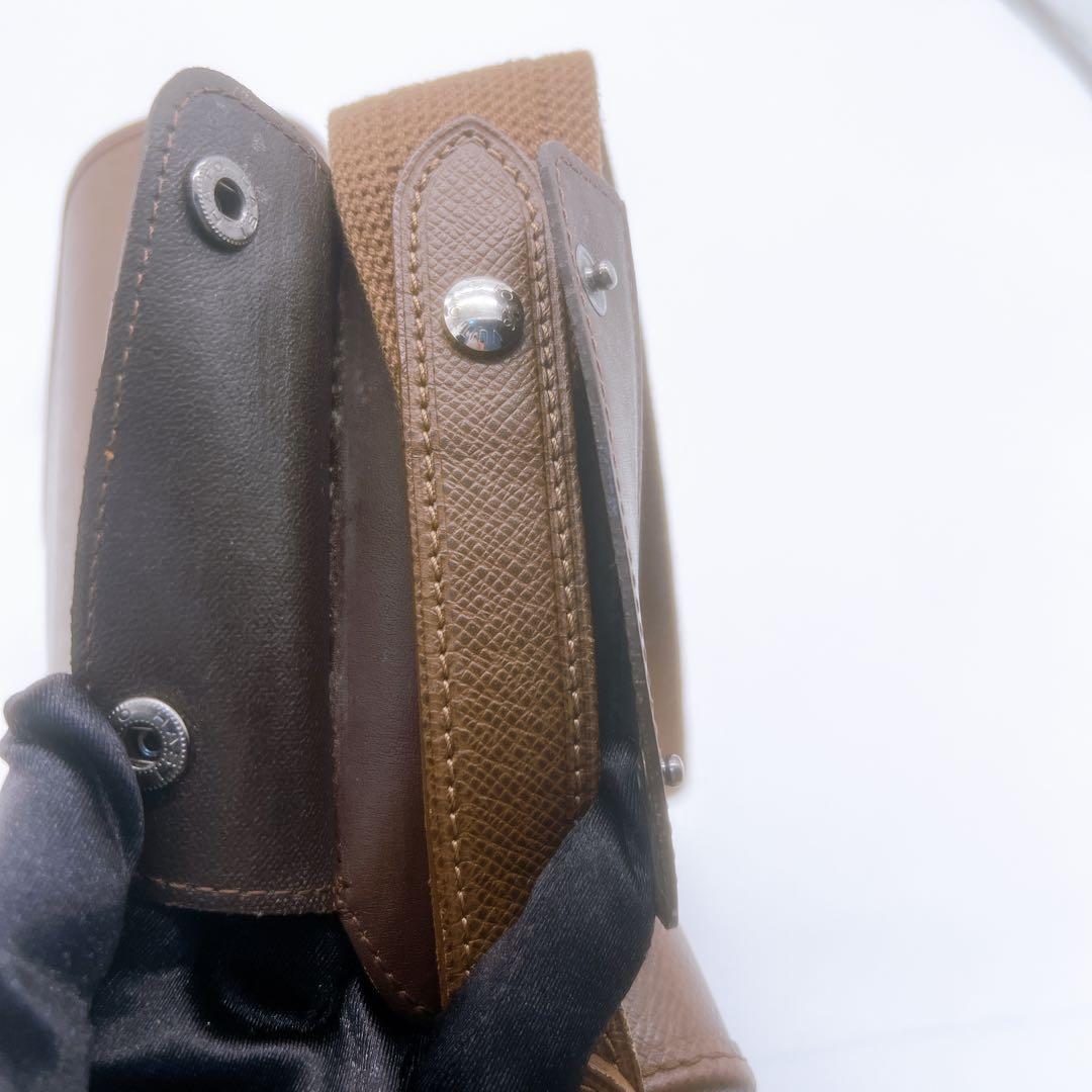 Louis Vuitton タイガーショルダーバッグ　ブラウン