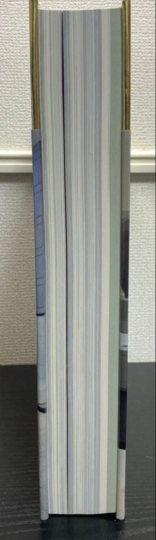 新品 村上隆のスーパーフラット・コレクション