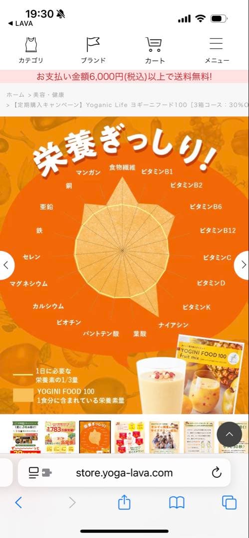 YOGINI FOOD 100 fruit mix 21袋