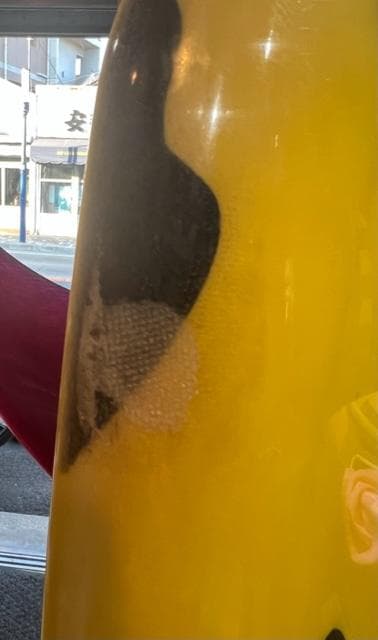 Local Motion HAWAII　美品中古ボード