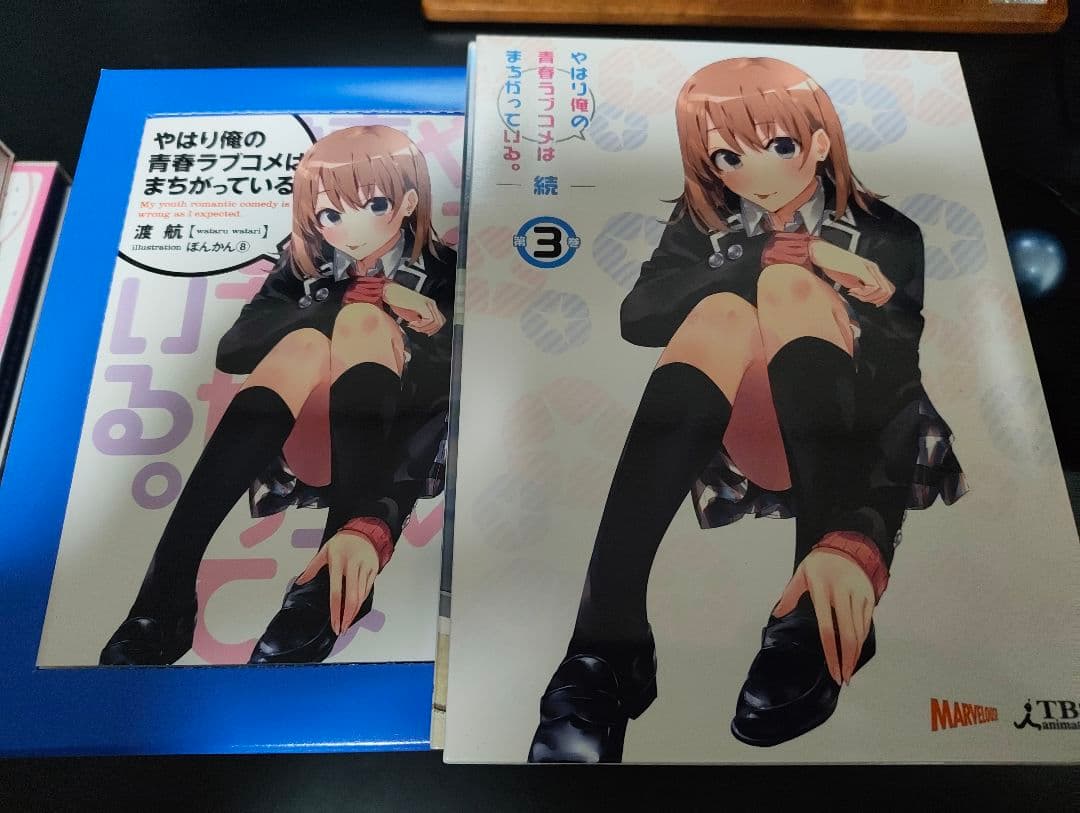 やはり俺の青春ラブコメはまちがっている。続 DVD 小説付き