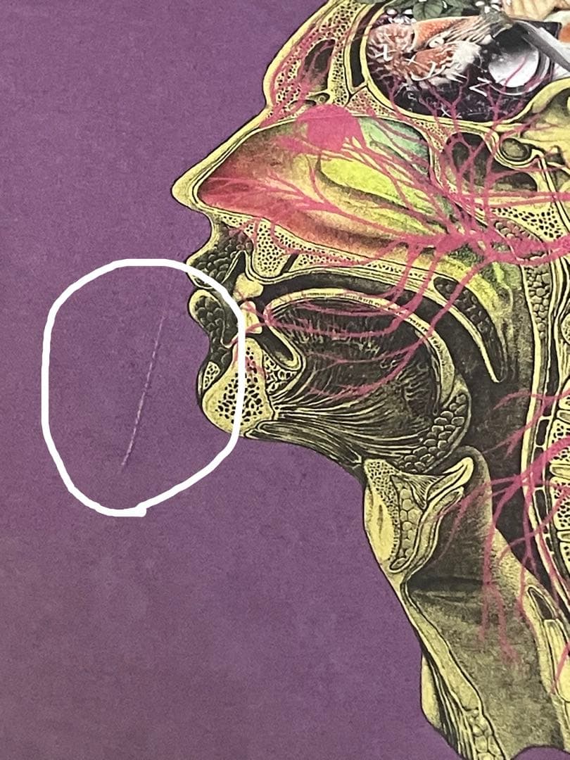 SEKAI NO OWARI⭐︎まとめ売り