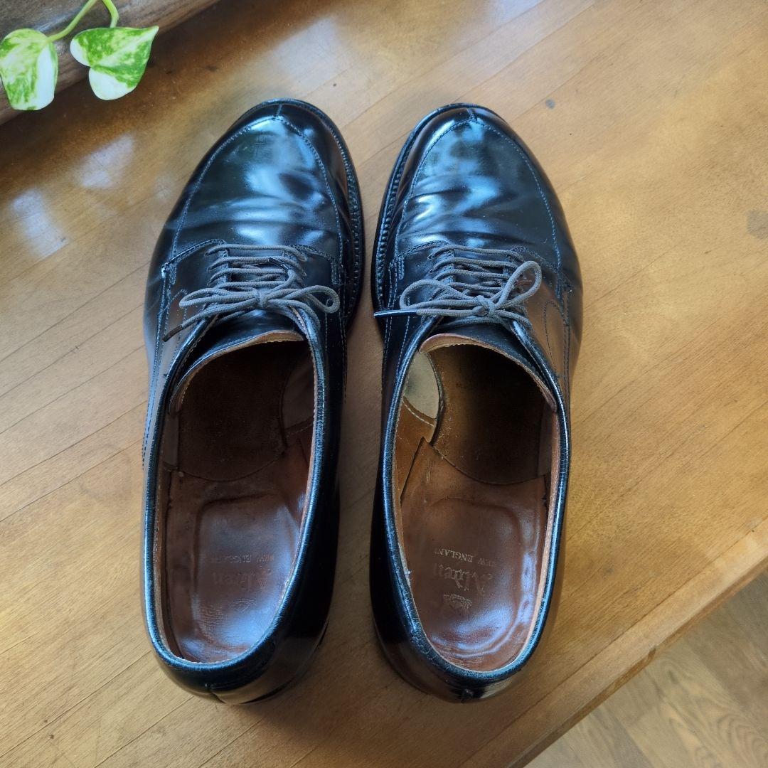 Alden オールデン Vチップ コードバン ブラック US7.5D