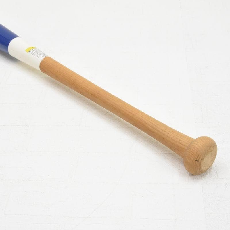 中日ドラゴンズ 荒木雅博選手 直筆サイン入りマスコットバット 実使用品