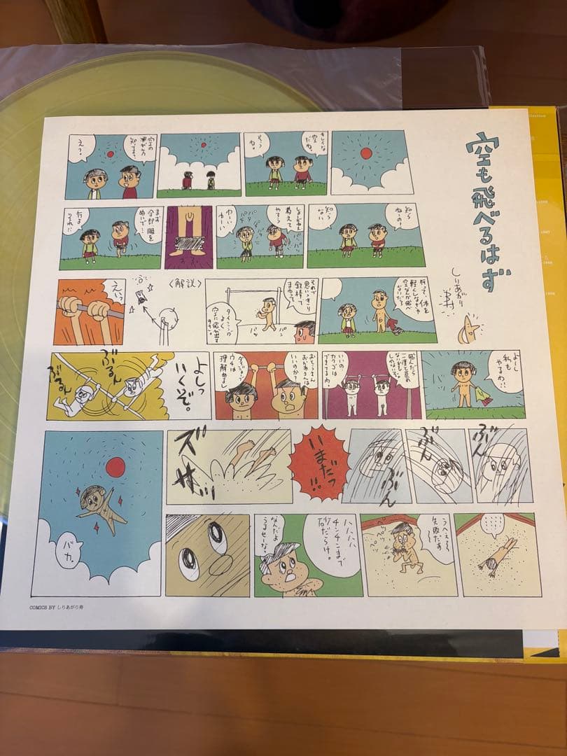 スピッツ アナログ LPレコード　空の飛び方