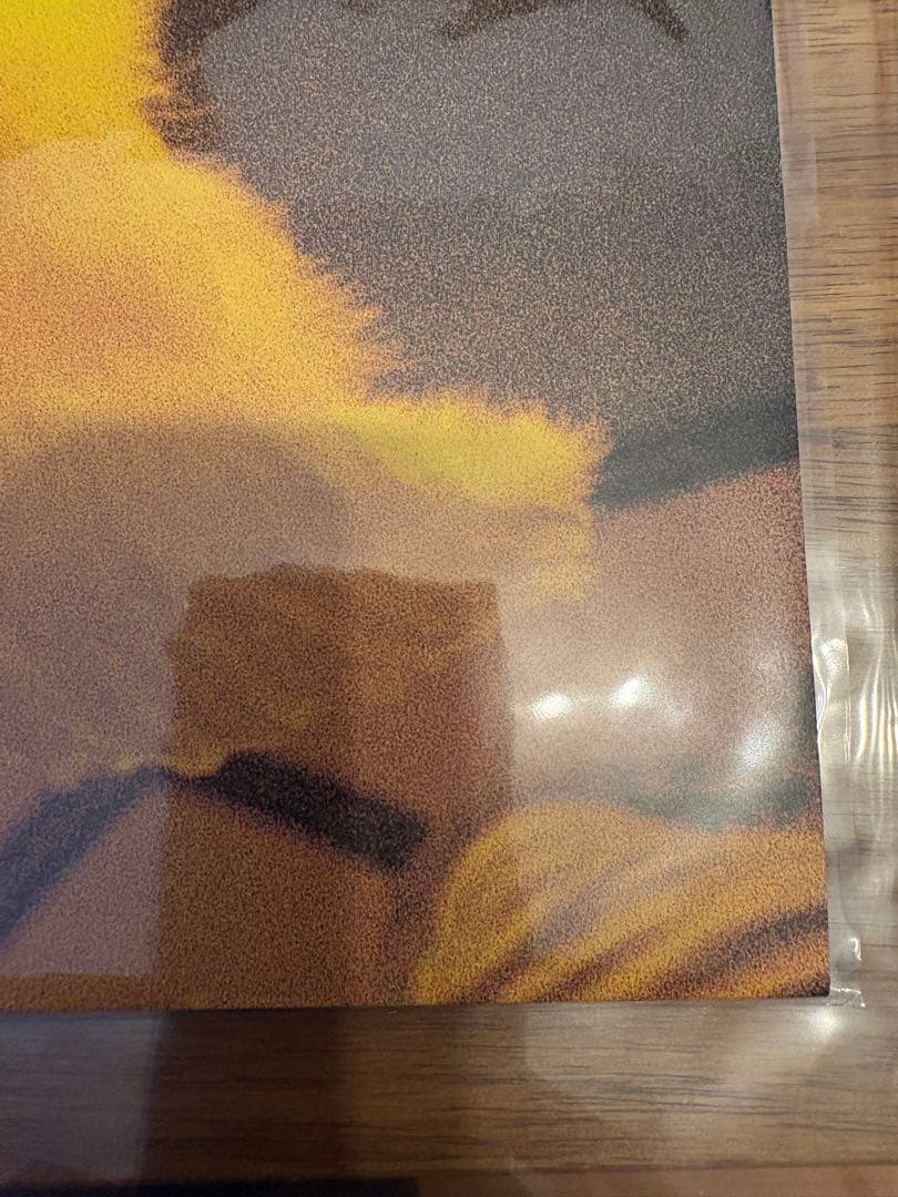 スピッツ アナログ LPレコード　空の飛び方