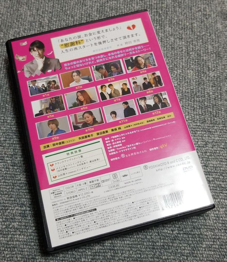 慰謝料弁護士～あなたの涙,お金に変えましょう～ DVD-BOX〈4枚組〉