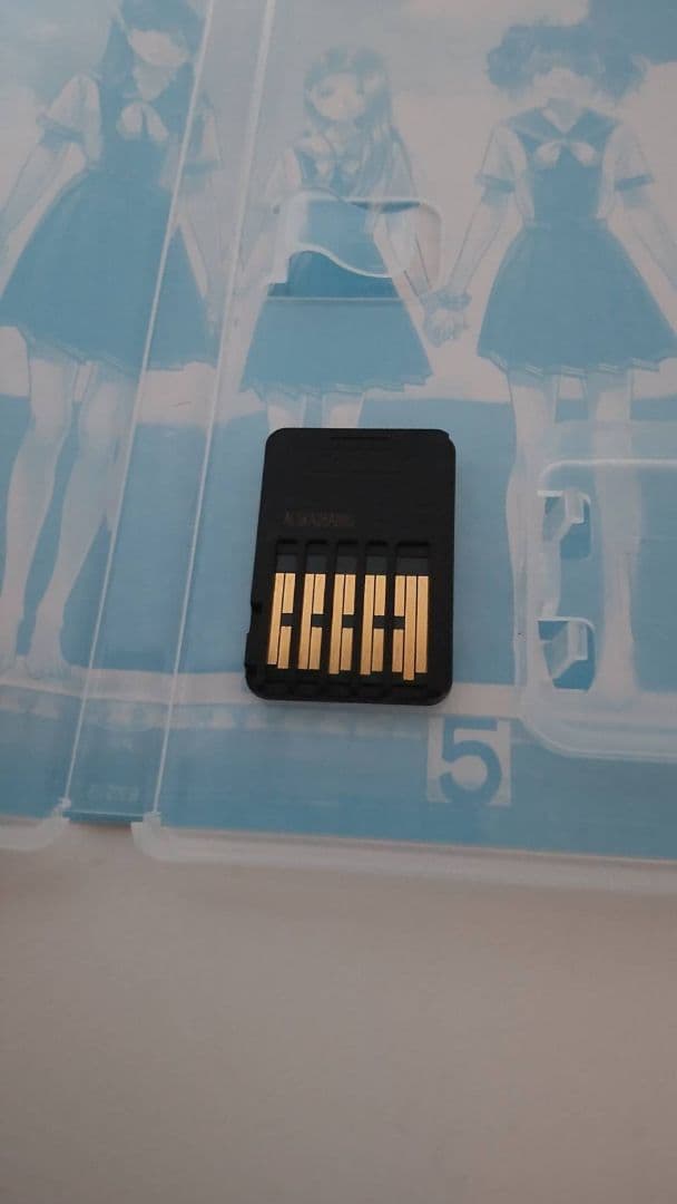 Switch LOVER KISS(ラブアールキス)美品スイッチ版