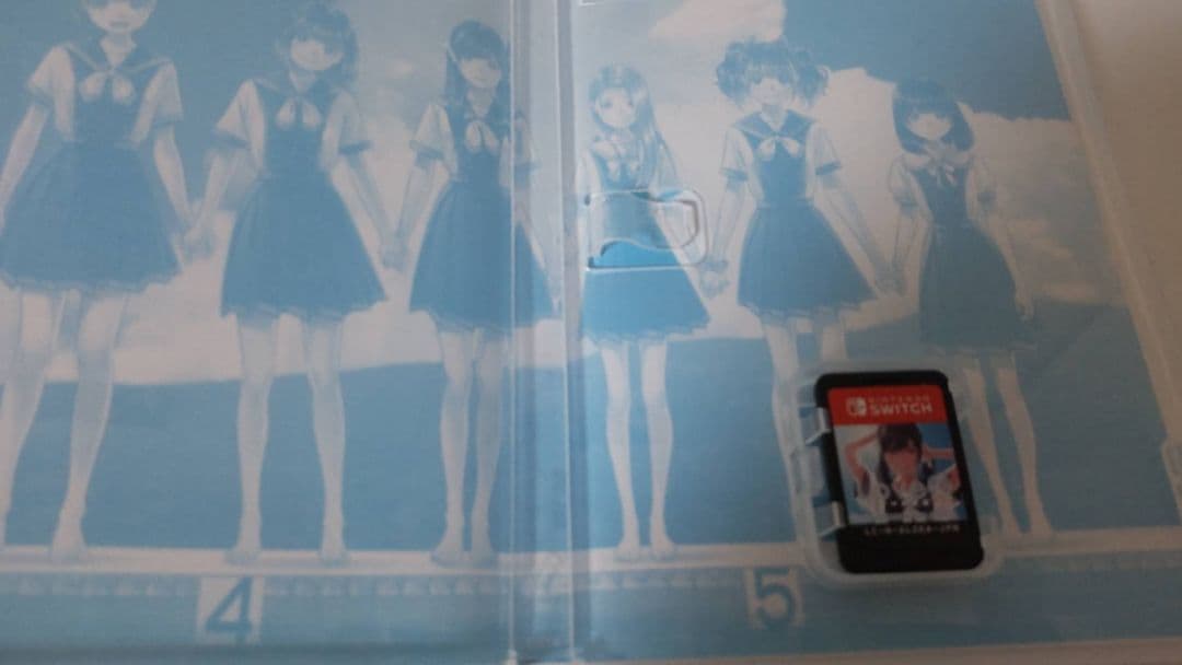 Switch LOVER KISS(ラブアールキス)美品スイッチ版