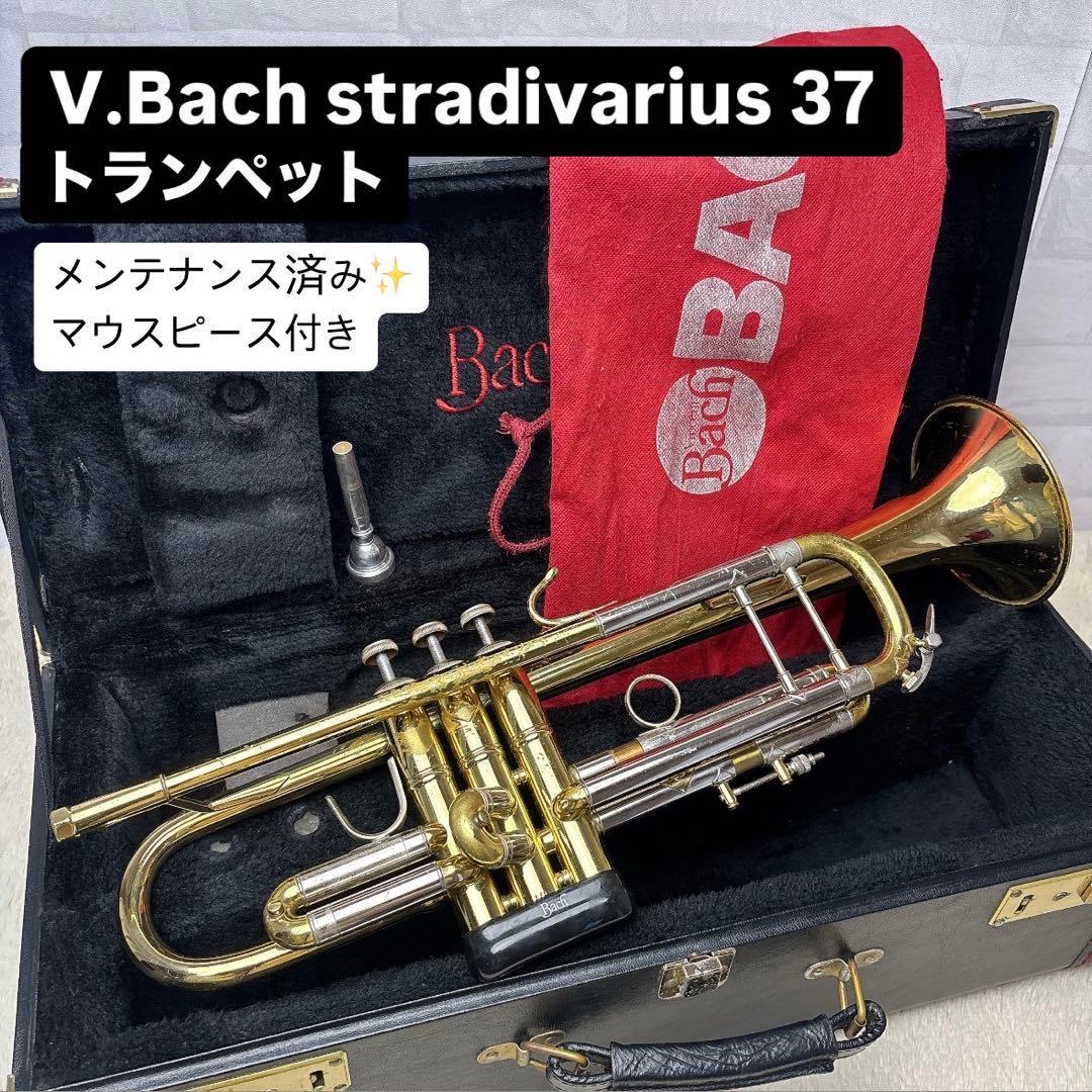 V.Bach stradivarius 37 トランペット マウスピース付き