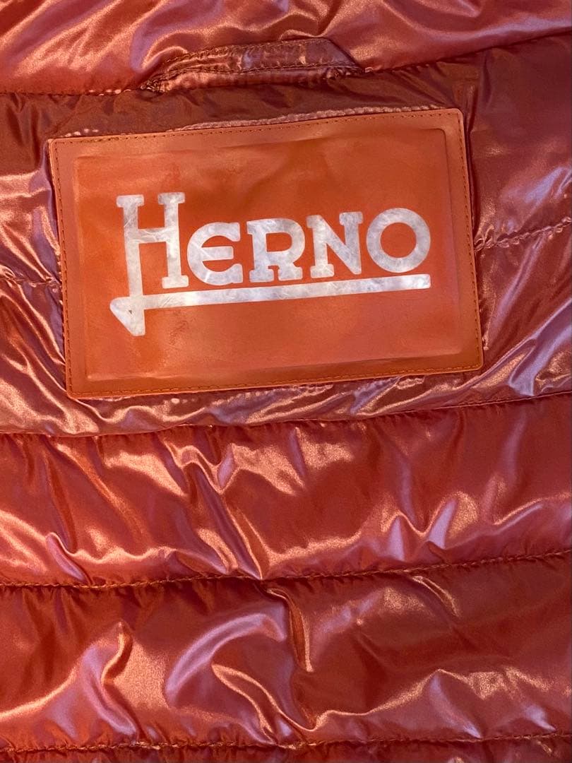 お値下げ！新品未使用⭐️正規品　ヘルノダウン