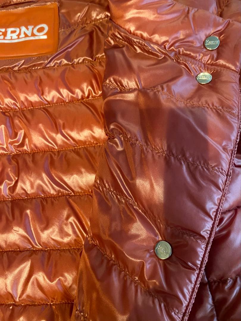 お値下げ！新品未使用⭐️正規品　ヘルノダウン