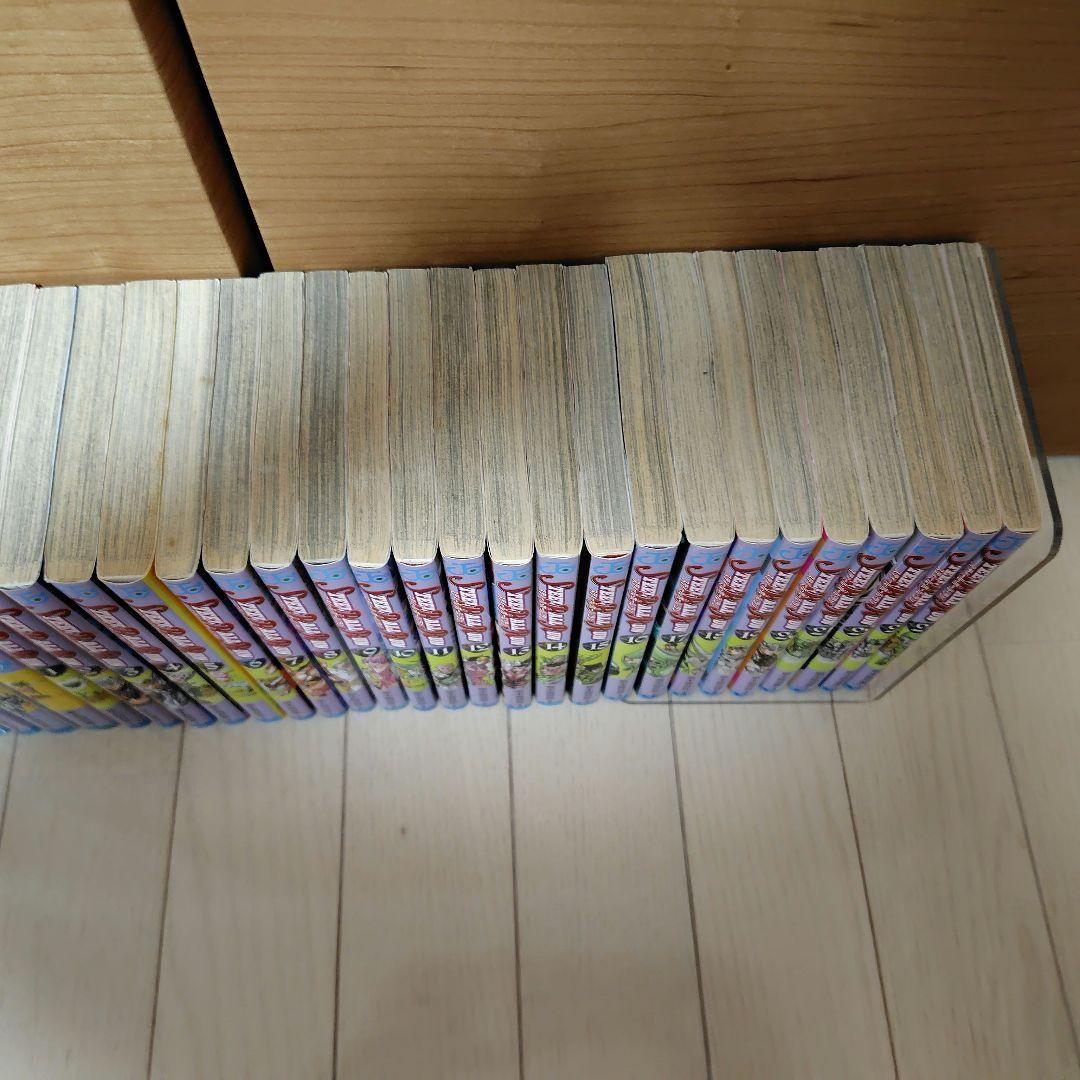ジョジョの奇妙な冒険（ストーンオーシャン17巻＋スティールボールラン24巻）