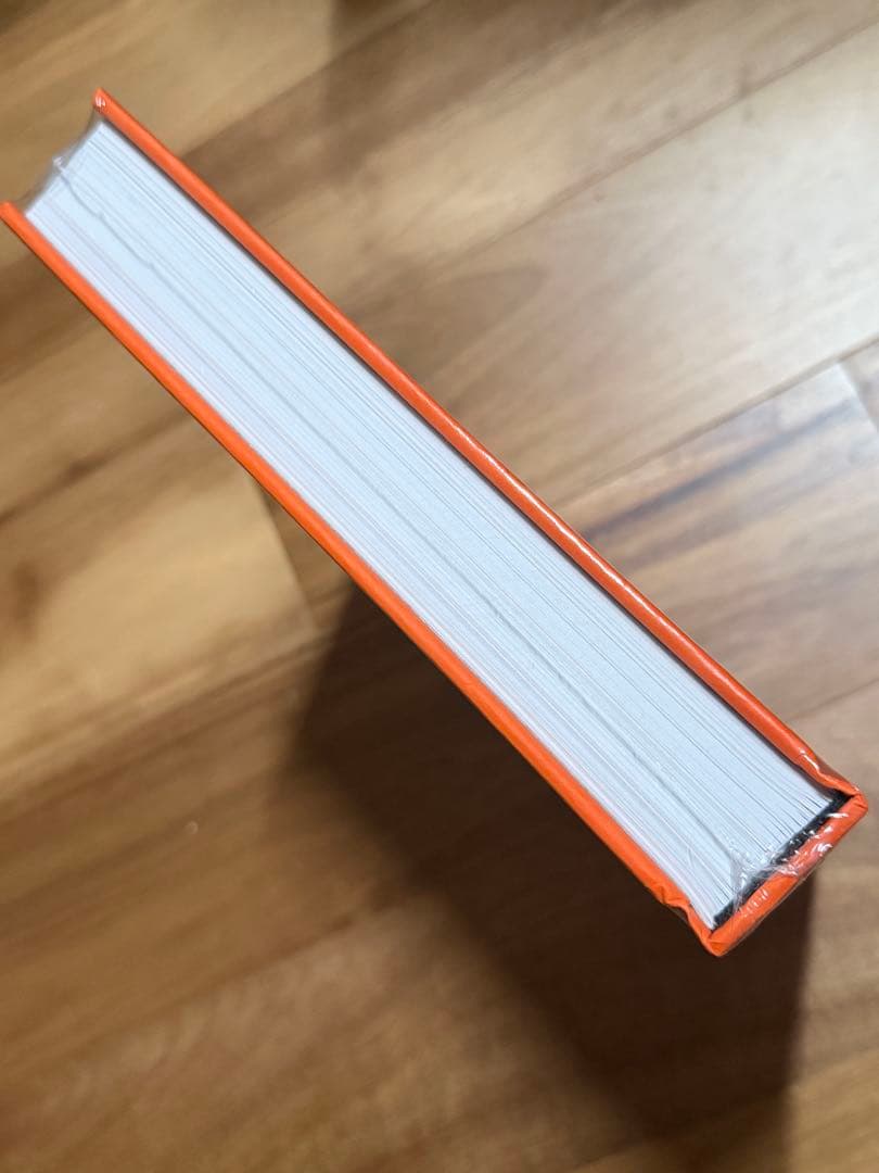 （新刊・未開封）ディーター・ラムス dieter rams