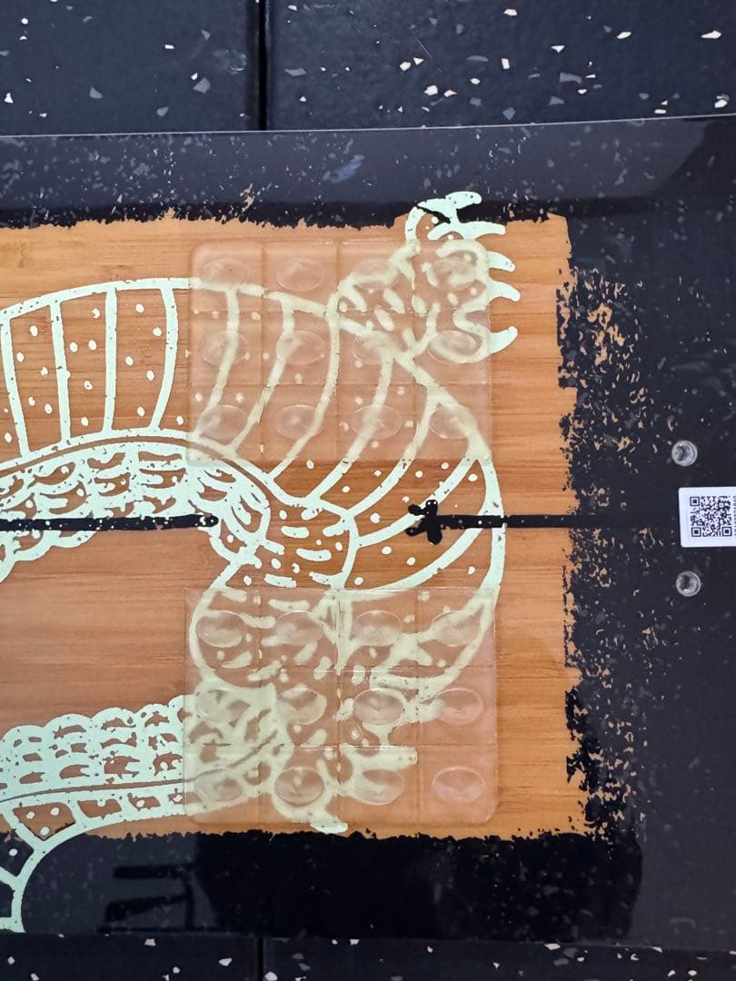 SALOMON ASSASSIN 19-20 156cm サロモン　アサシン