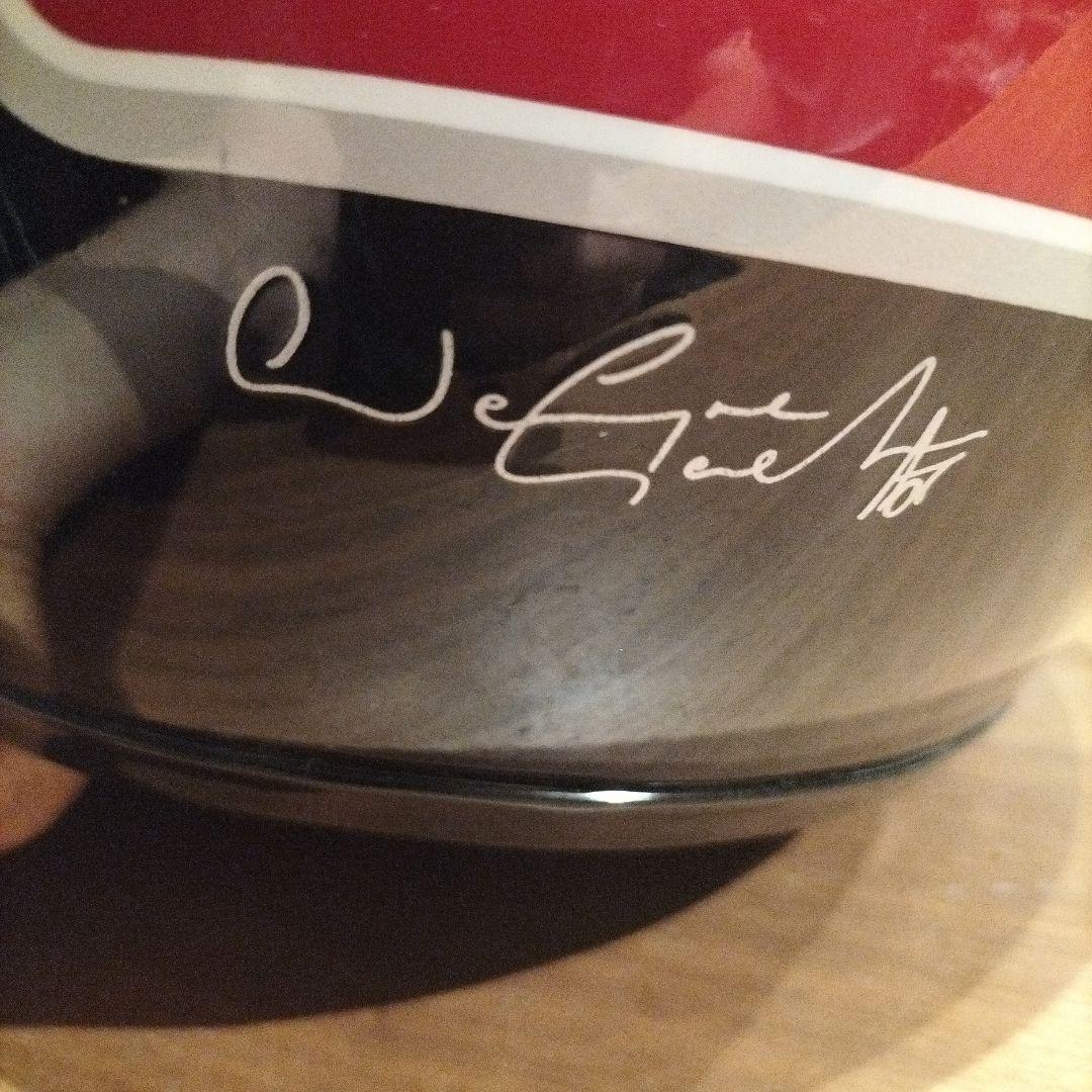 ひでちっち フルフェイスヘルメット　ワインガードナー　モデル