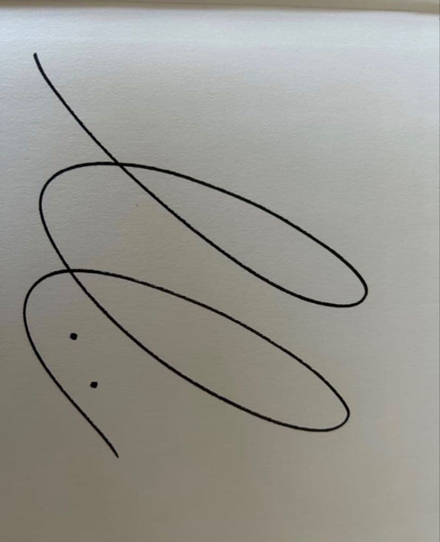 サイン入り♡矢野未希子　asisオリジナル写真集