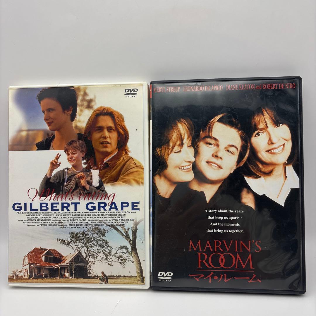 極美品レオナルドディカプリオDVD 15本セット内レンタル落ち3本有り