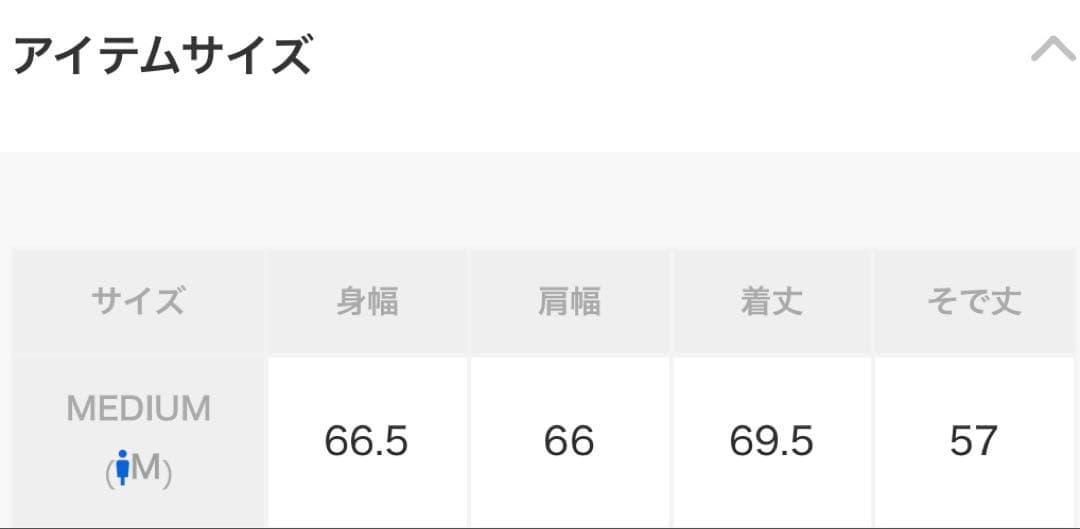 新品タグ付　STRANGER THINGS コラボ　デニムブルゾン M