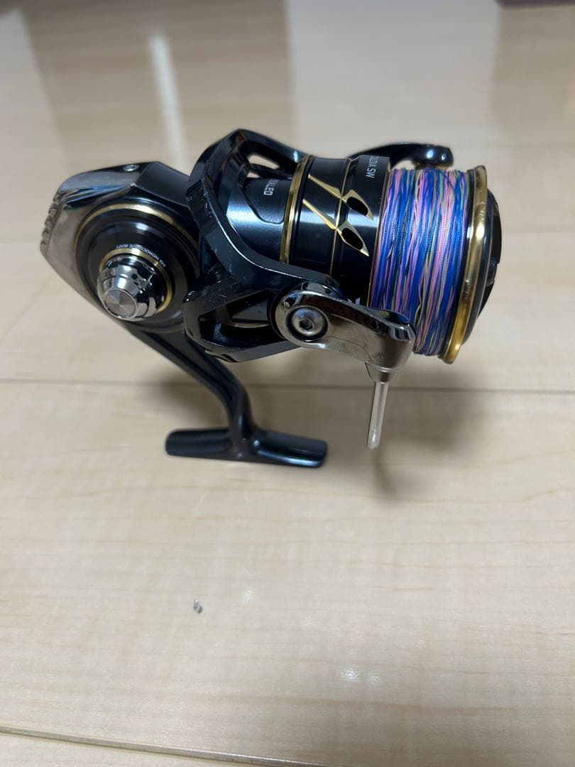 リール DAIWA CALDIA SW 6000D-H