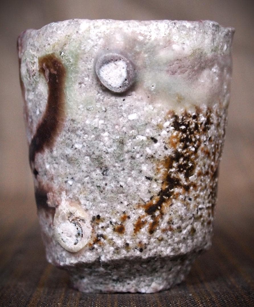 人気作家★高橋燎★信楽【窯変】焼き締め酒器A★トレインキルン薪窯